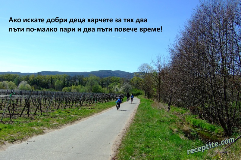 Снимки към Разни