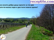 снимка 803 към албум Разни