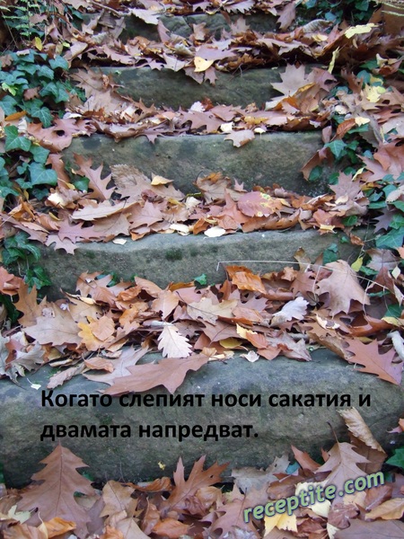 Снимки към Разни