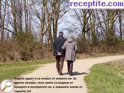 снимка 813 към албум Разни