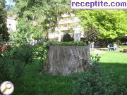 снимка 1209 към албум Пътувания