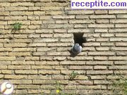 снимка 1221 към албум Пътувания