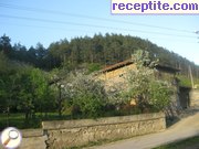 снимка 1160 към албум Пътувания