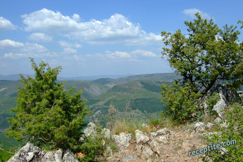 Снимки към Пътувания