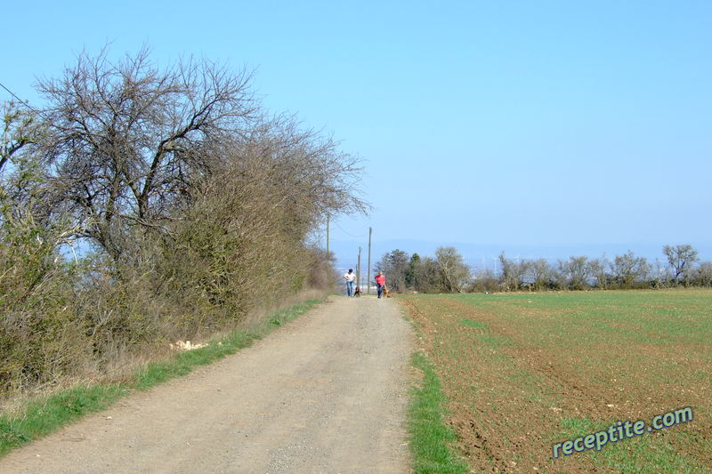 Снимки към Пътувания