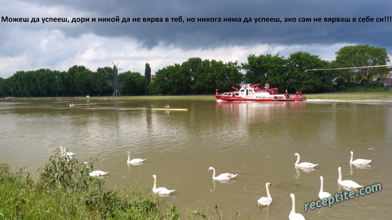 Снимки към Разни