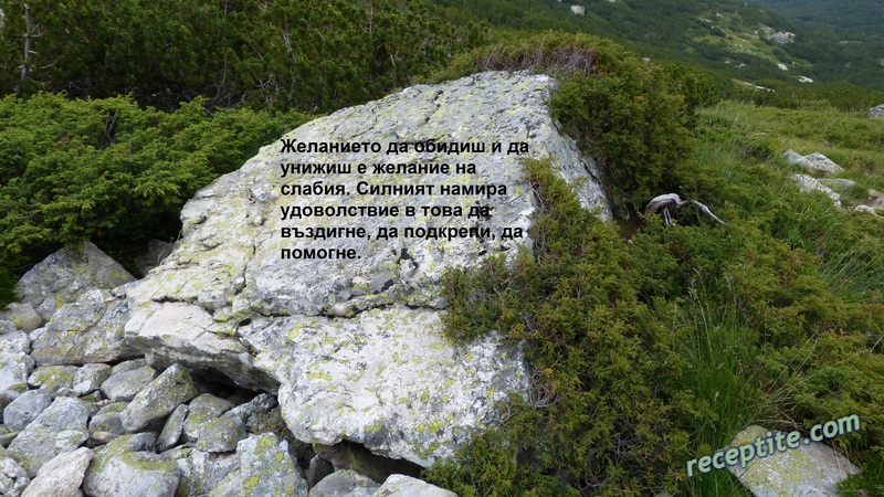 Снимки към Разни