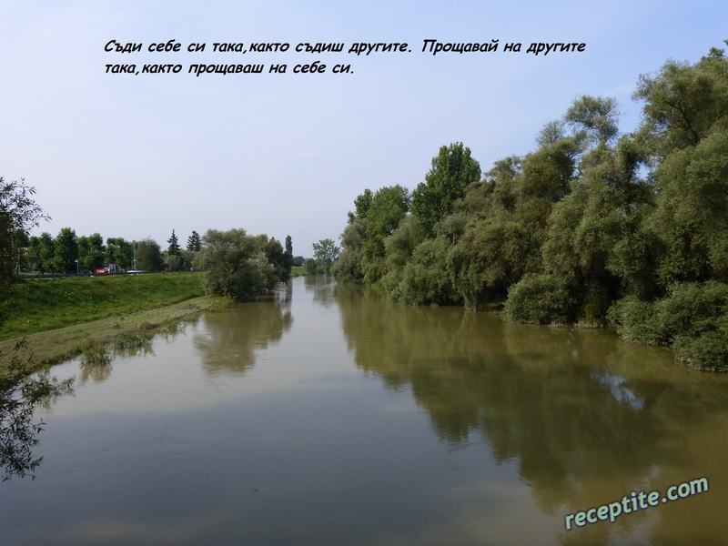 Снимки към Разни