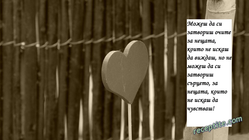 Снимки към Разни