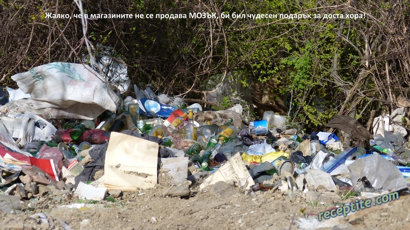 Снимки към Разни