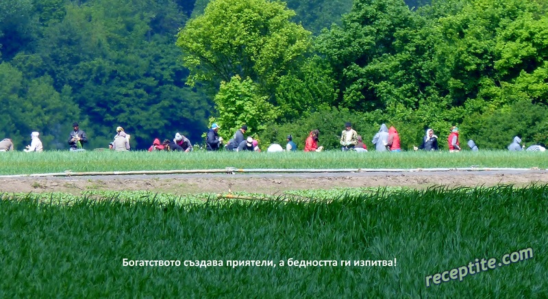 Снимки към Разни