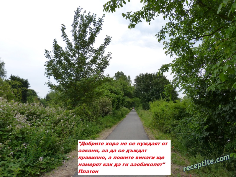 Снимки към Разни