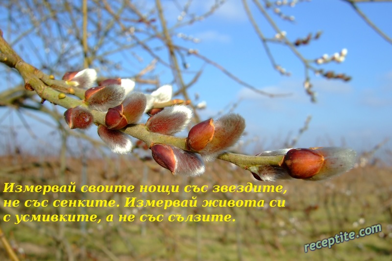 Снимки към Разни