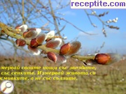 снимка 981 към албум Разни