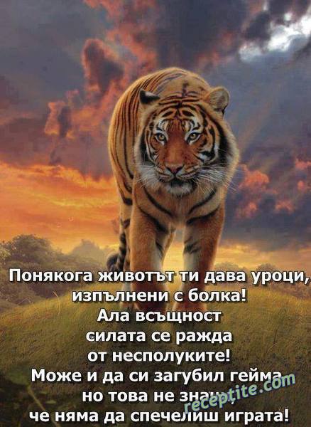 Снимки към Разни