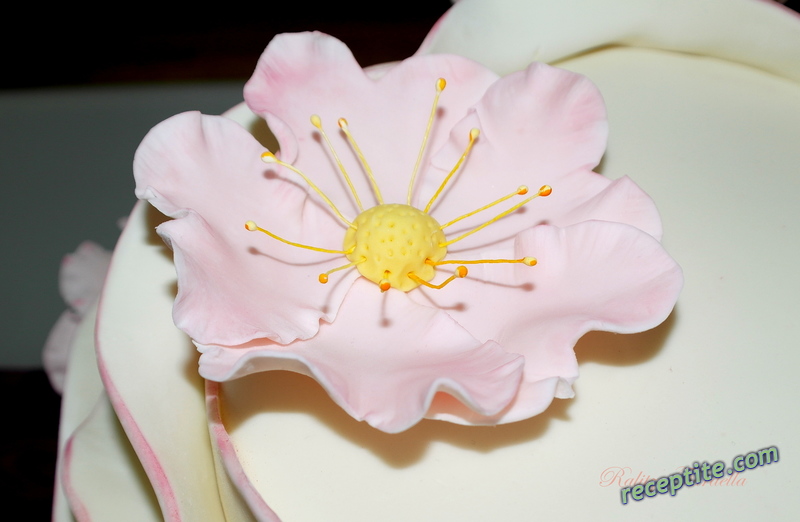 Снимки към Пастилаж за изработка на венчелистчета на цветя