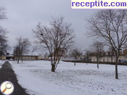 снимка 2144 към албум Пътувания