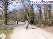 снимка 2255 към албум Пътувания