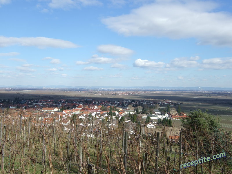 Снимки към Пътувания