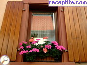 снимка 2495 към албум Пътувания