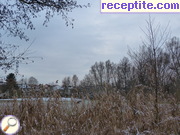 снимка 2754 към албум Пътувания