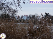 снимка 2750 към албум Пътувания