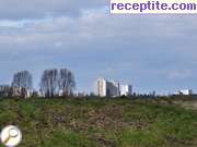 снимка 2824 към албум Пътувания
