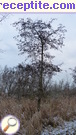 снимка 2756 към албум Пътувания