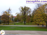 снимка 3529 към албум Пътувания