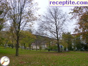 снимка 3545 към албум Пътувания