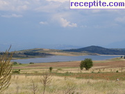 снимка 4614 към албум Пътувания