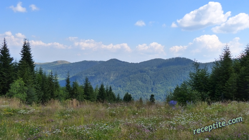 Снимки към Пътувания
