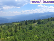 снимка 4712 към албум Пътувания