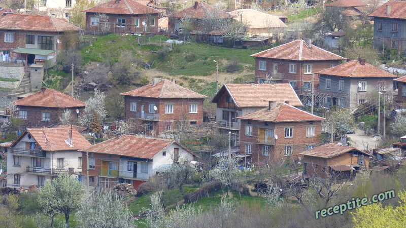 Снимки към Пътувания