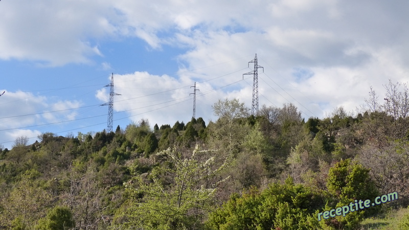 Снимки към Пътувания