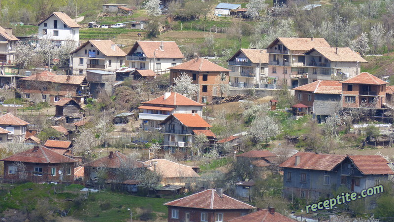 Снимки към Пътувания