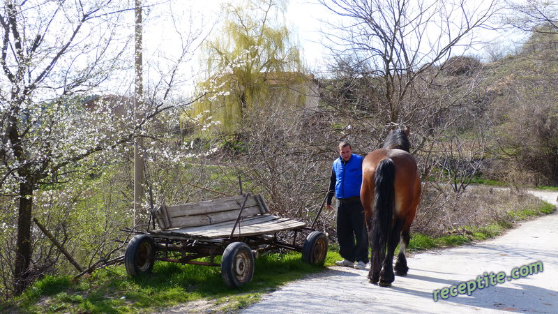 Снимки към Пътувания