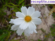 снимка 5145 към албум Пътувания