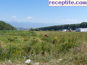 снимка 5118 към албум Пътувания