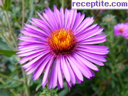 снимка 5139 към албум Пътувания