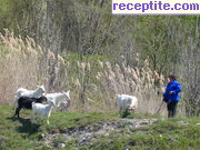 снимка 5156 към албум Пътувания