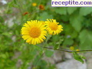 снимка 5143 към албум Пътувания