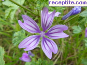 снимка 5141 към албум Пътувания