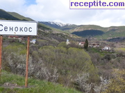 снимка 5317 към албум Пътувания