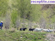 снимка 5157 към албум Пътувания