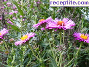 снимка 5138 към албум Пътувания