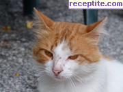 снимка 5148 към албум Пътувания