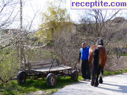 снимка 5323 към албум Пътувания