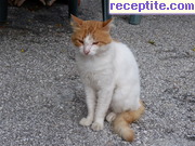 снимка 5147 към албум Пътувания