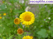 снимка 5144 към албум Пътувания